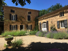 Retour aux sources